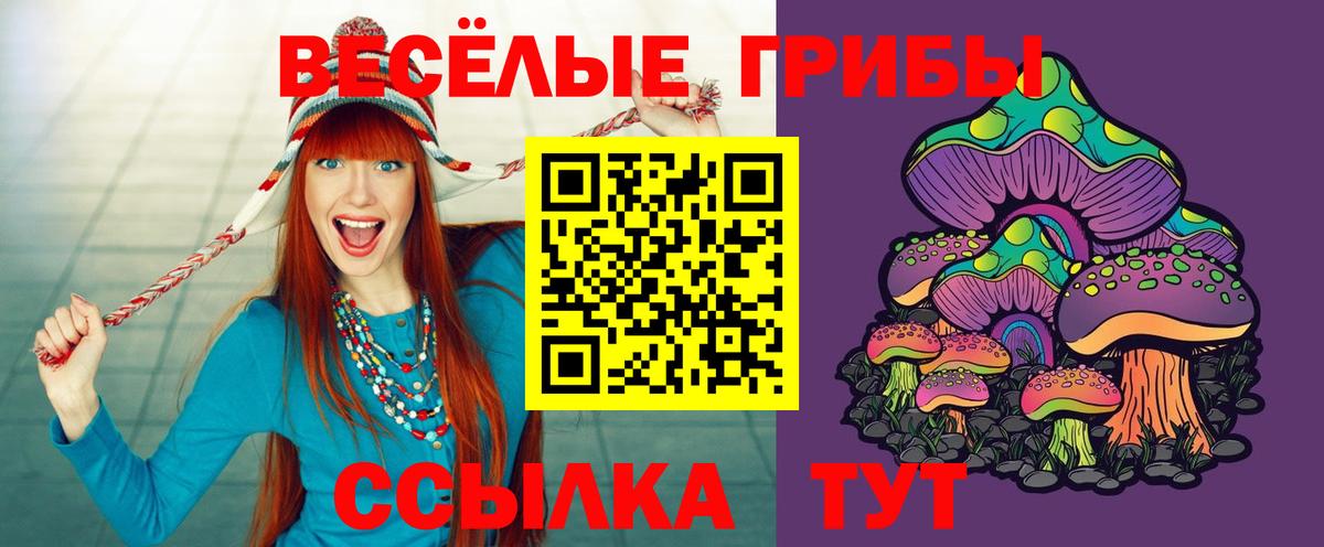 Галлюциногенные грибы прущие грибы Мончегорск